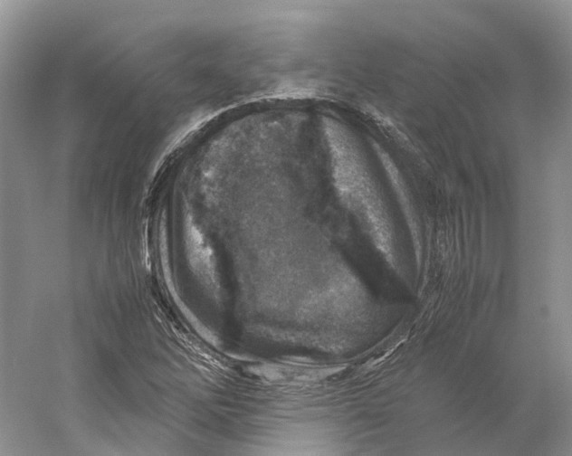 X0000059251262200511111632