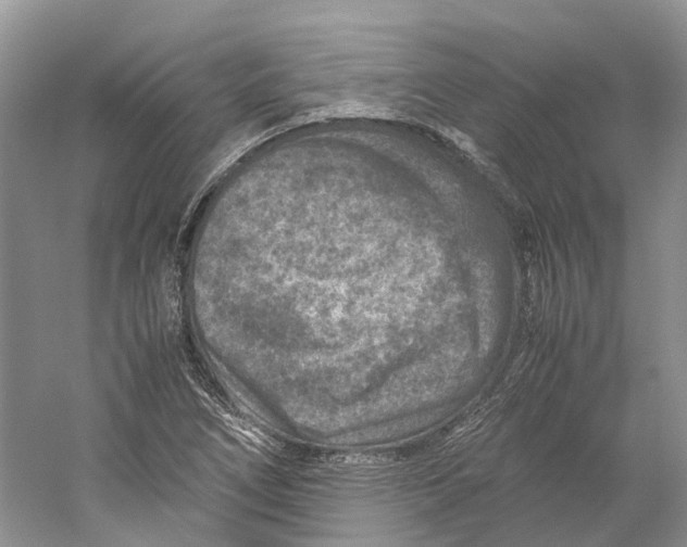 X0000059251266200511111632