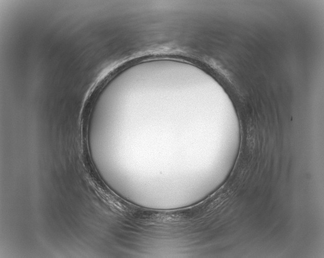 X0000059251270200511111632