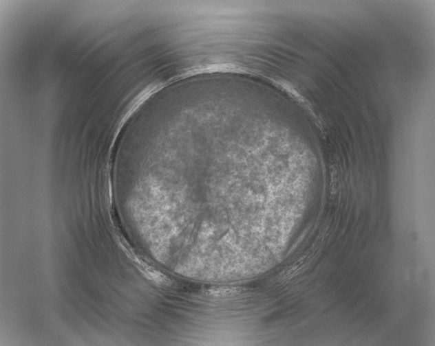 X0000059251274200511111632