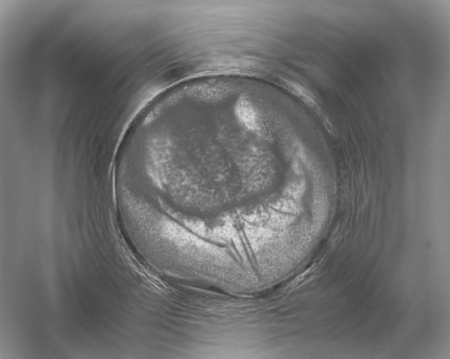 X0000059251275200511111632