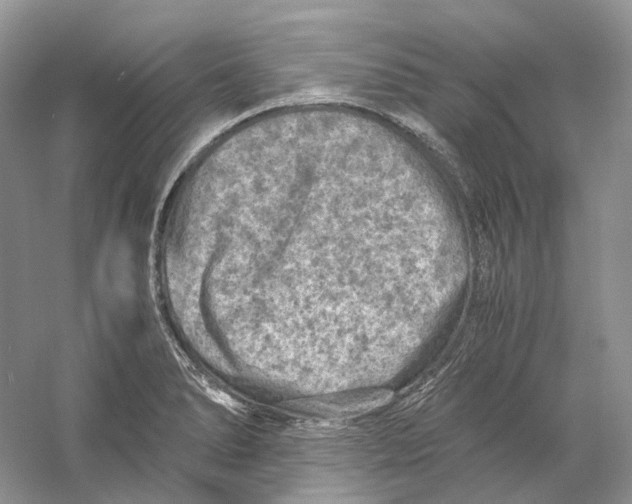 X0000059251278200511111631