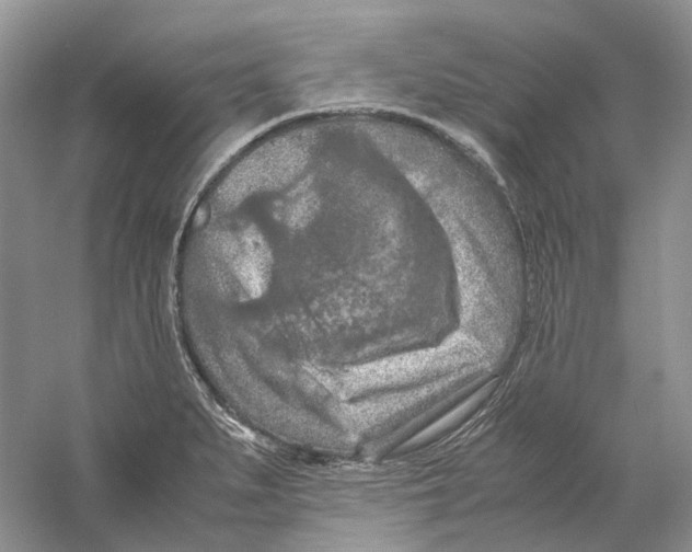 X0000059251279200511111631