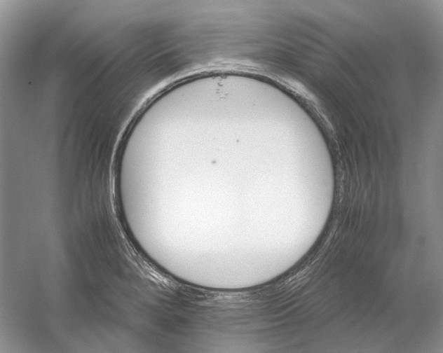 X0000059251280200511111631