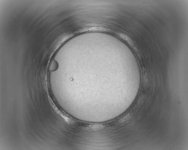 X0000059251282200511111631