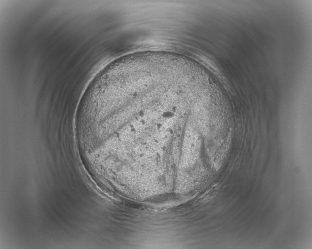 X0000059251283200511111631