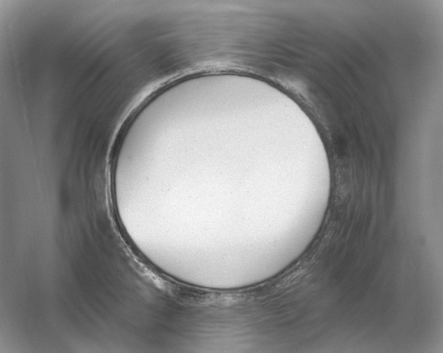 X0000059251286200511111631