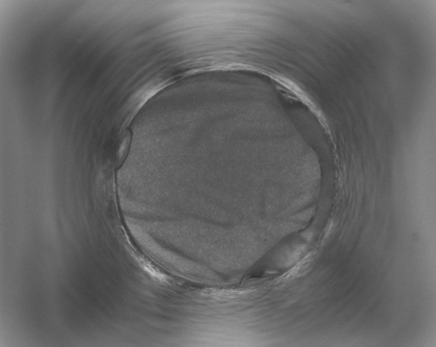 X0000059251289200511111631