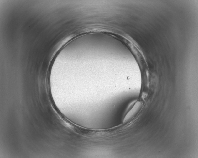 X0000059251293200511111631