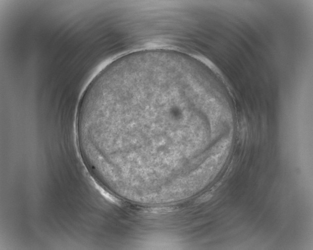 X0000059251294200511111631