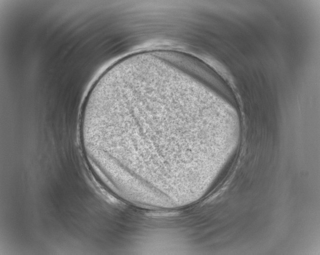 X0000059251296200511111631