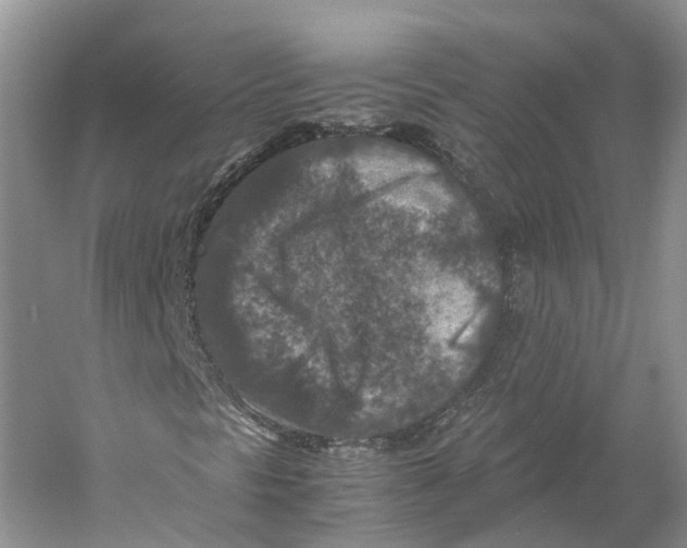 X0000059251297200511111630