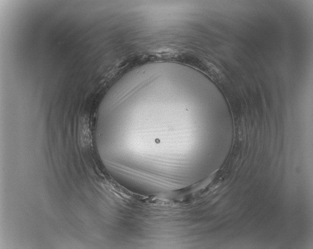 X0000059251298200511111630