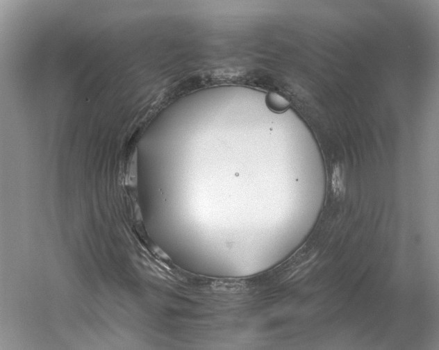 X0000059251299200511111630