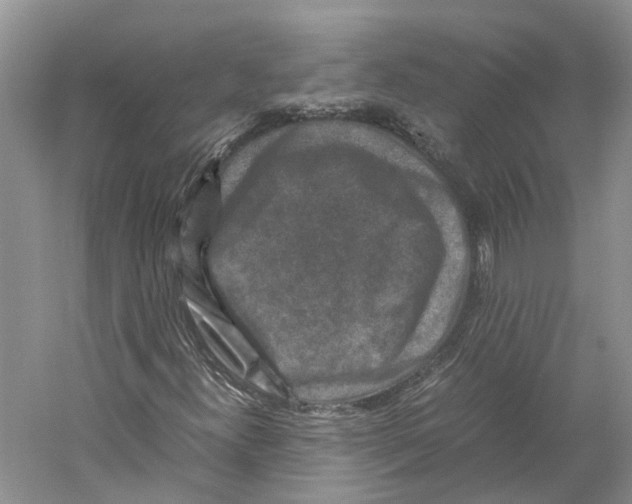 X0000059251300200511111630