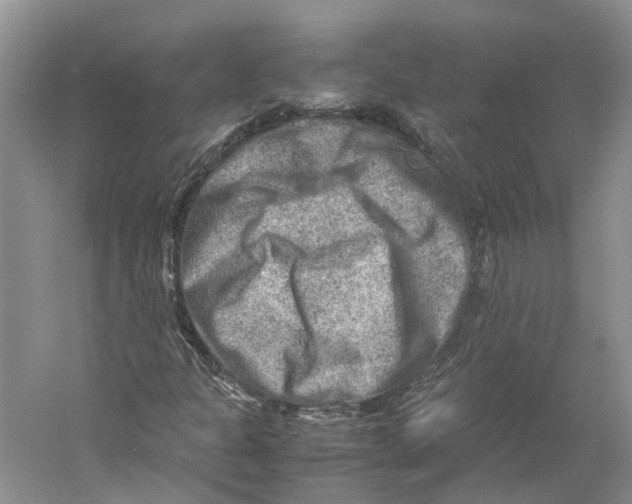 X0000059251301200511111630