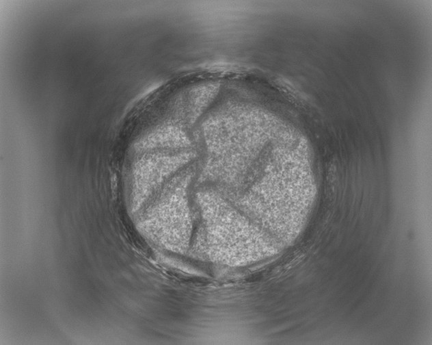 X0000059251302200511111630