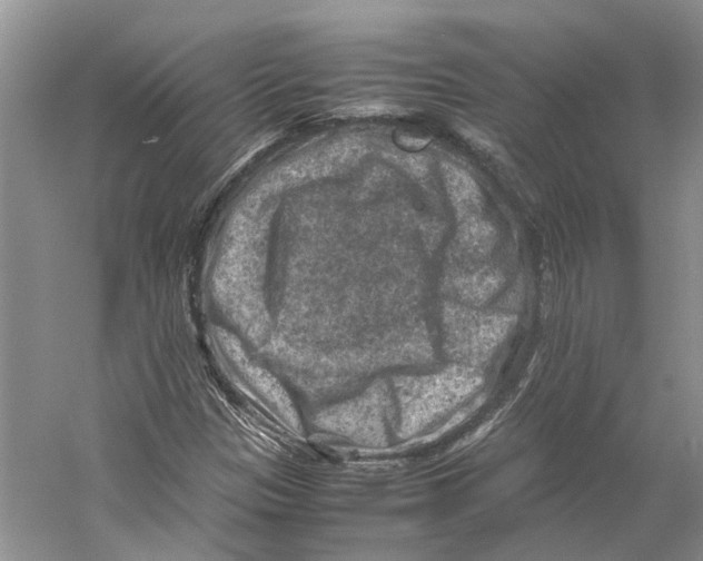 X0000059251305200511111630