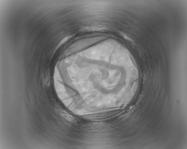 X0000059251306200511111631