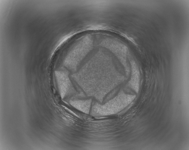 X0000059251311200511111631