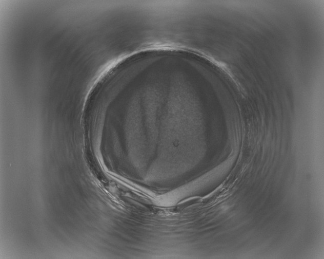 X0000059251319200511111631