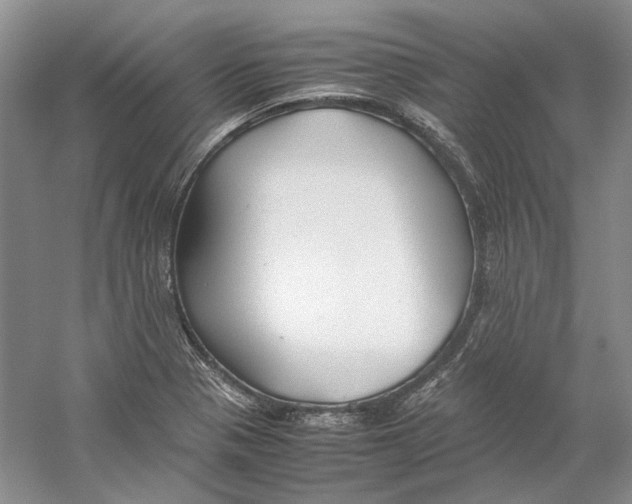 X0000059251321200511111631