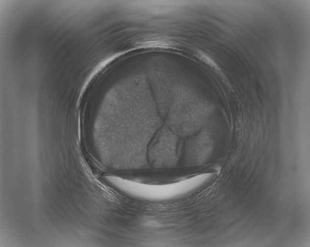 X0000059251323200511111631