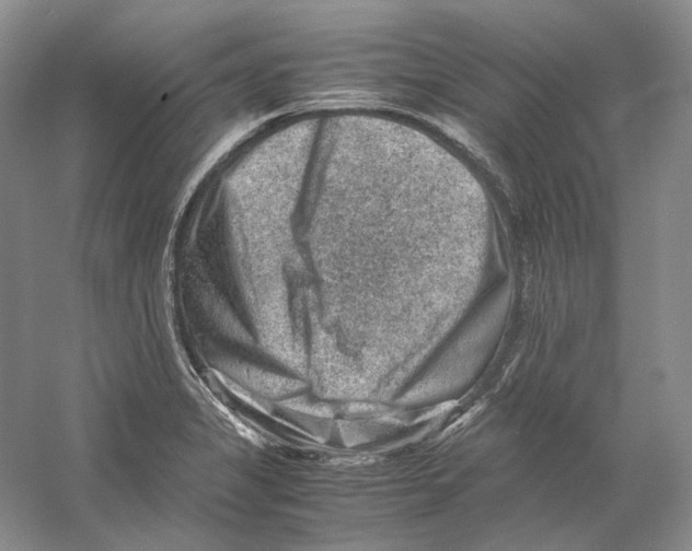 X0000059251325200511111631