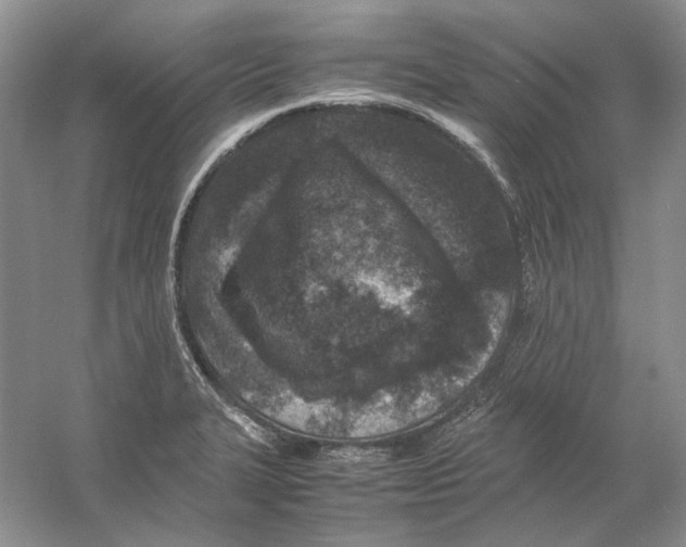 X0000059251327200511111631