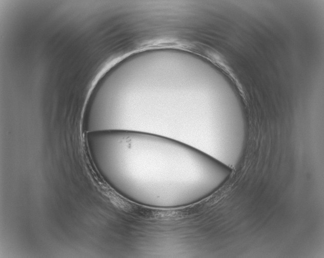 X0000059251328200511111631