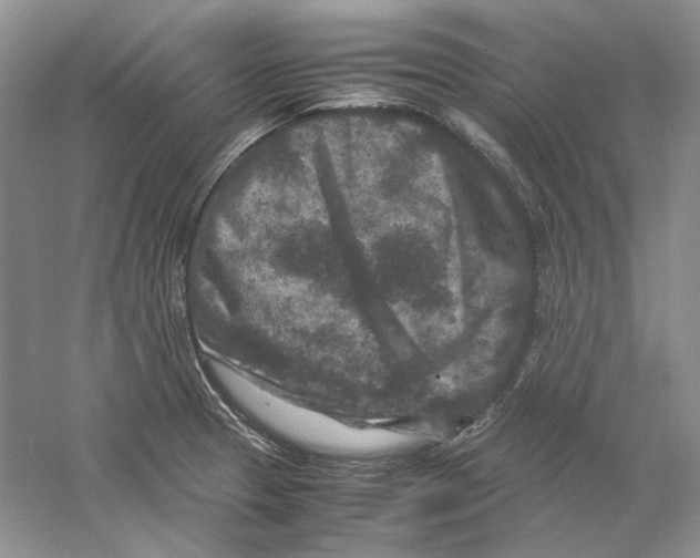 X0000059251329200511111631