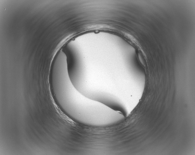 X0000059251330200511111631