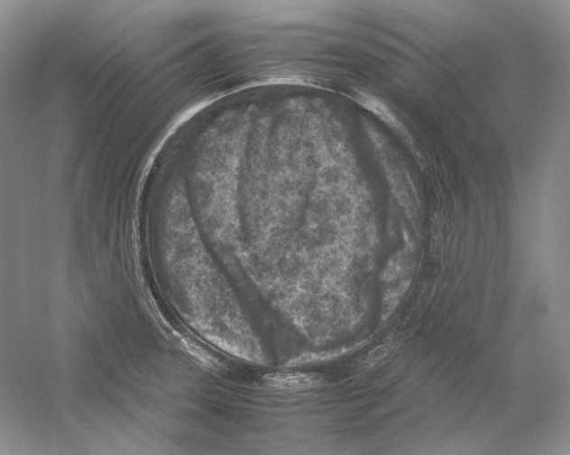 X0000059251331200511111631