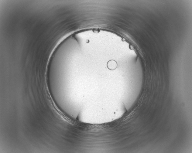 X0000059251332200511111631