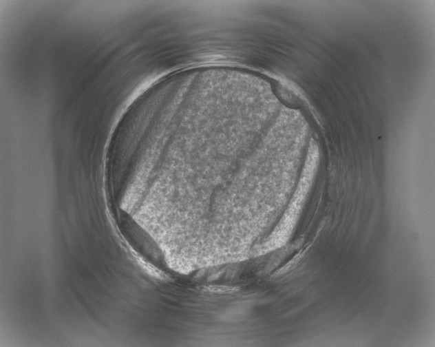 X0000059251333200511111631