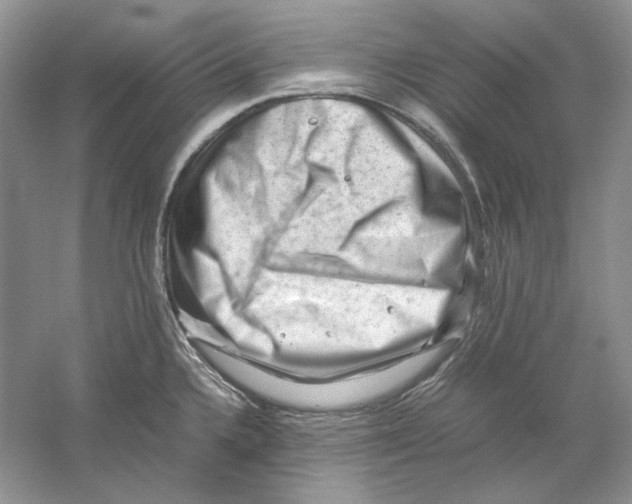 X0000059251336200511111631