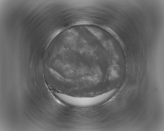 X0000059251337200511111631