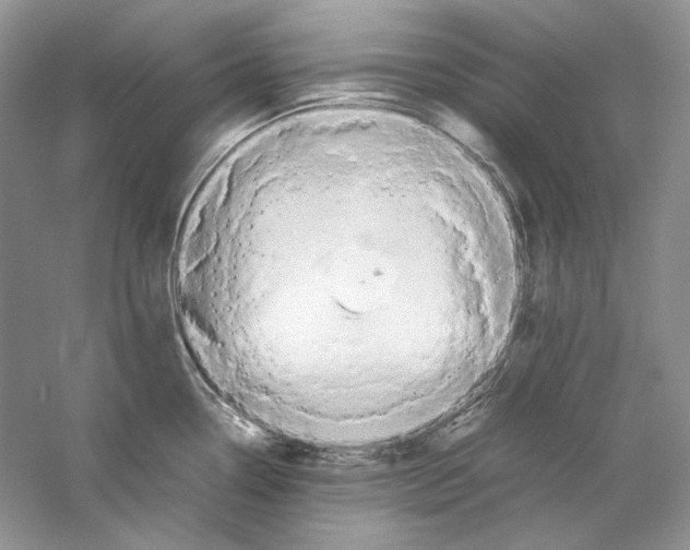 X0000059251338200511111631