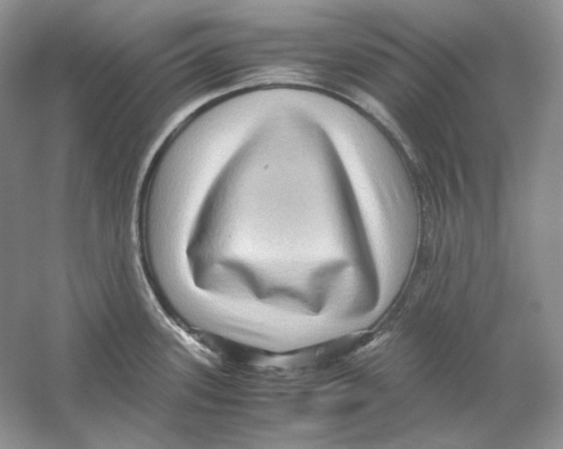 X0000059251339200511111631