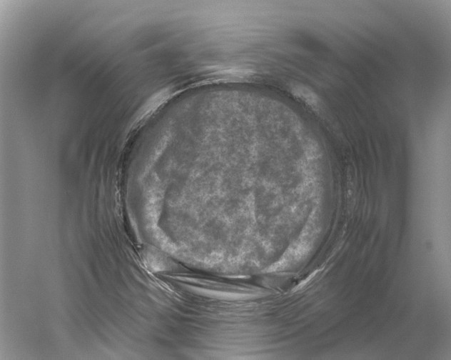 X0000059251354200511111630