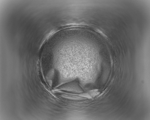 X0000059251357200511111630