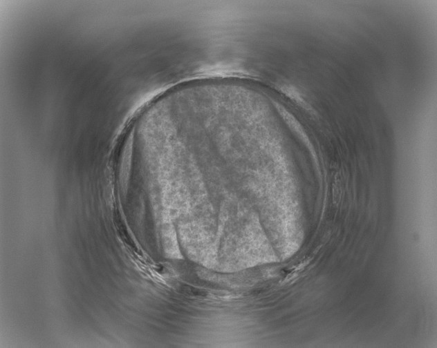 X0000059251358200511111630