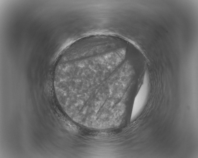 X0000059251359200511111630