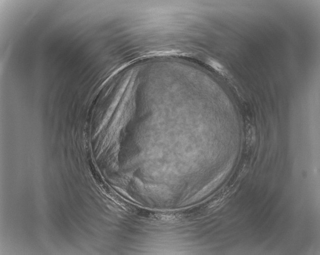 X0000059251361200511111630