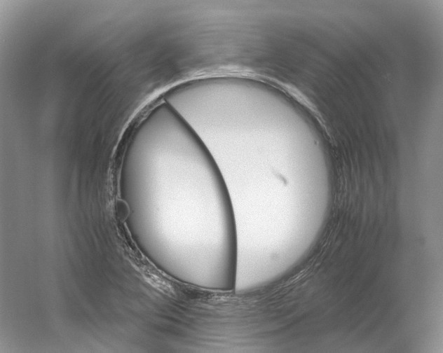 X0000059251364200511111630