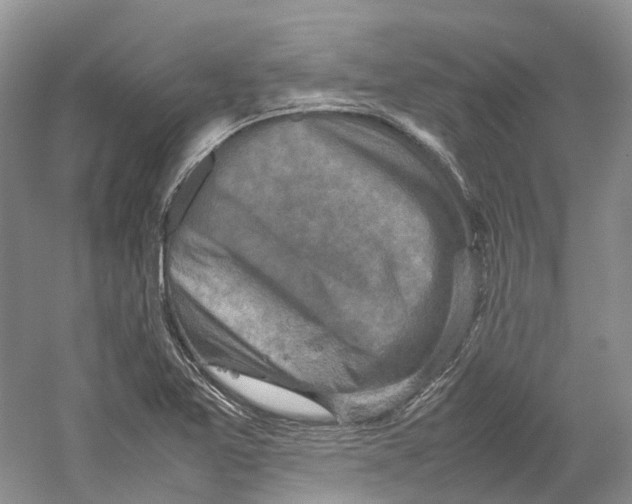 X0000059251365200511111630