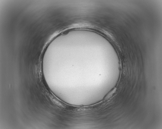 X0000059251366200511111630