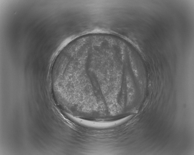 X0000059251367200511111630