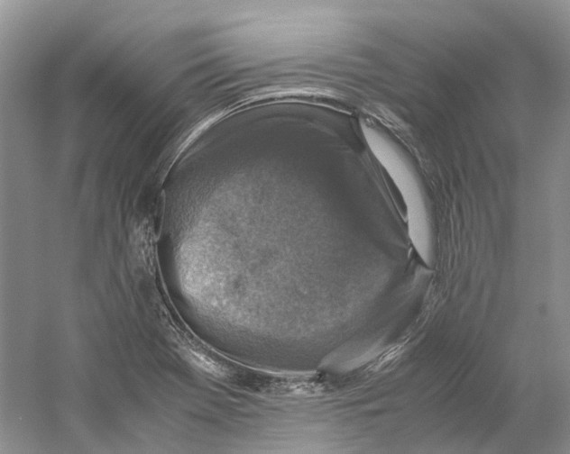 X0000059251369200511111630