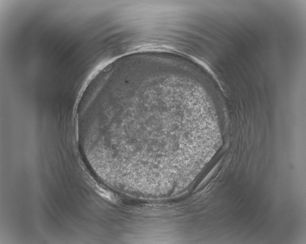 X0000059251371200511111630